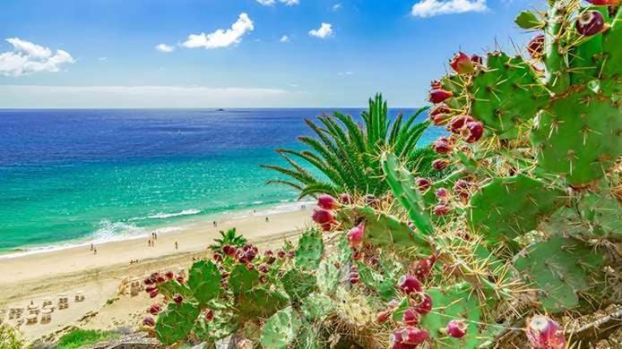 Caleta Relax - Apartamento Fuerteventura Apartment La Oliva Buitenkant foto